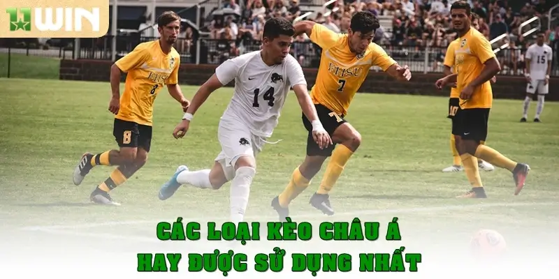 Các loại kèo châu Á hay được sử dụng nhất 