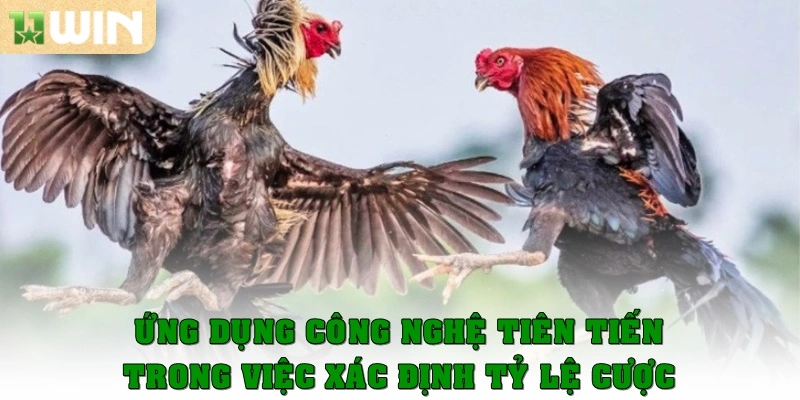 Ứng dụng công nghệ tiên tiến trong việc xác định tỷ lệ cược